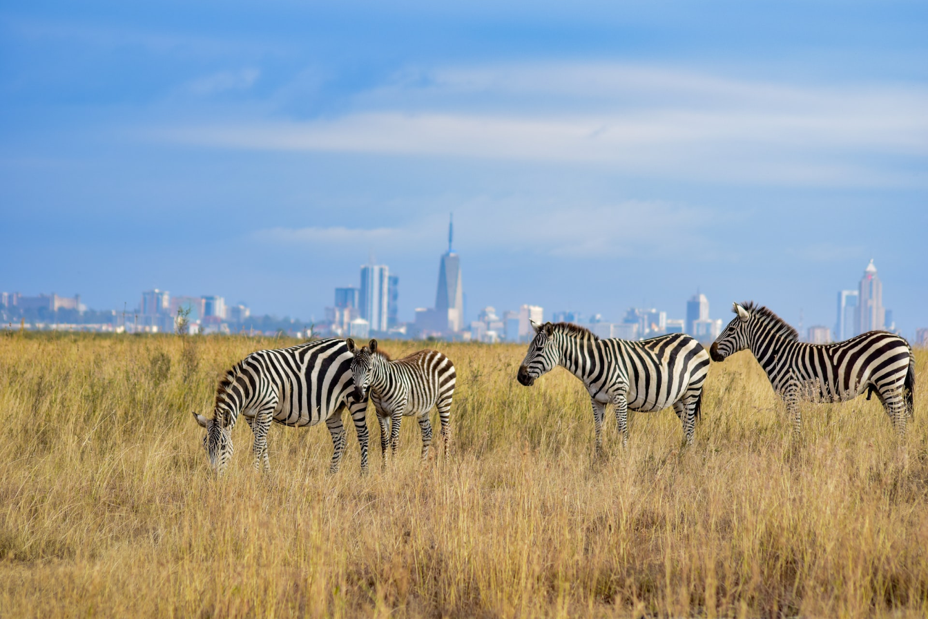 Travel Guide to Nairobi