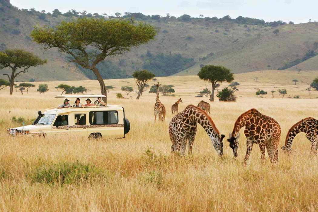 Negative effects of the eTA on the Kenyan Tourism Industry